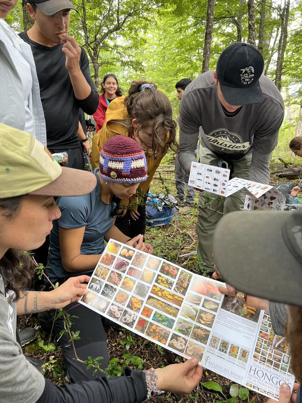 Estudiantes observan una lámina de naturalismo en el bosque