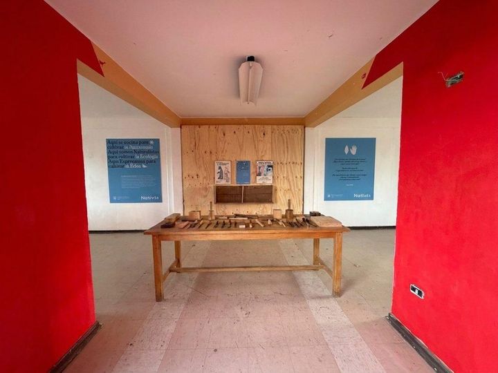 Taller de Experiencias Nativas con mesa de madera y repisas